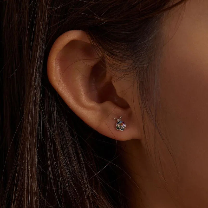 Aretes Bajitas