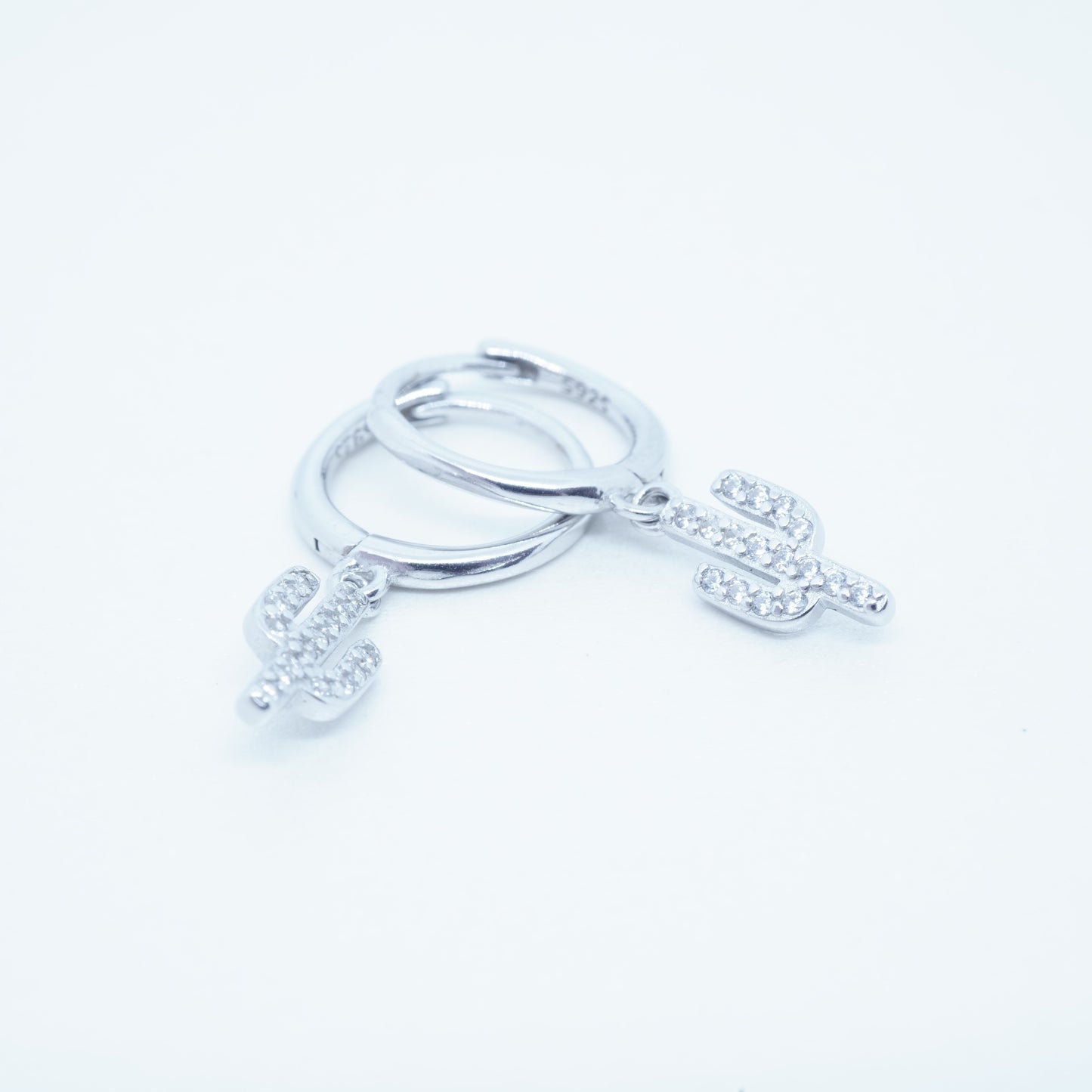 Aretes Cactalia