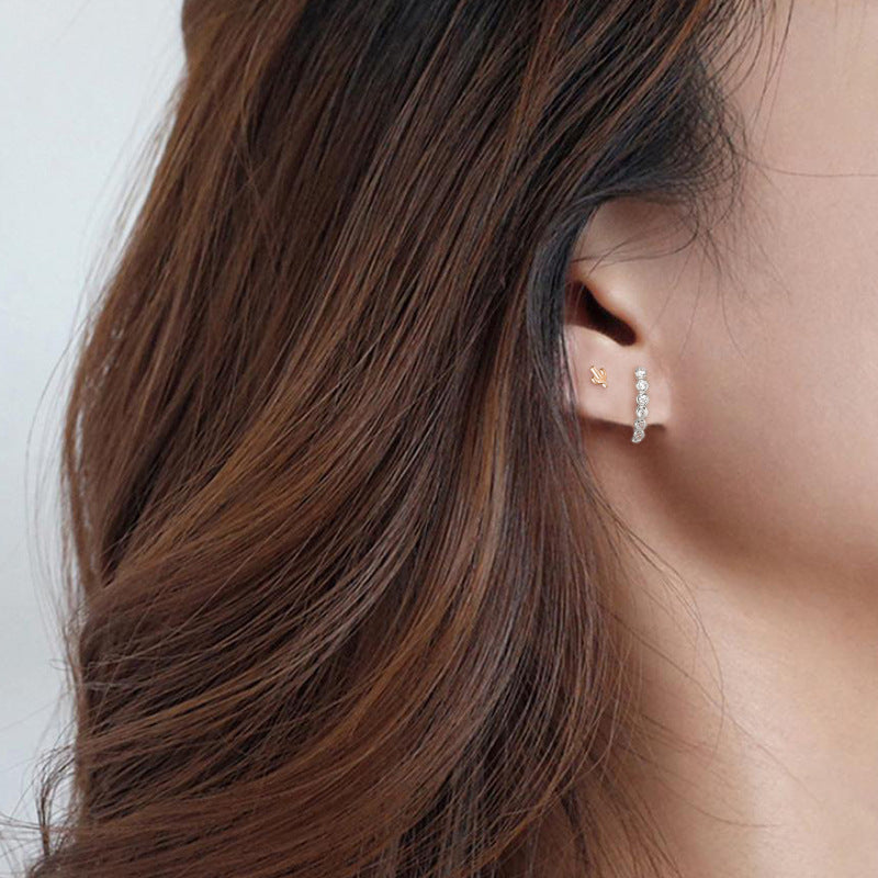 Aretes Cactica