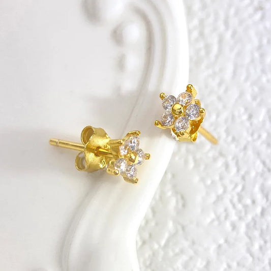 Aretes Luxez