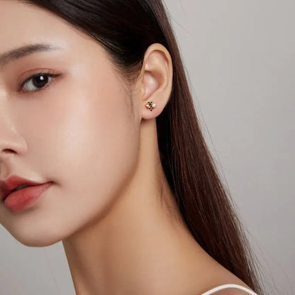 Aretes Beery