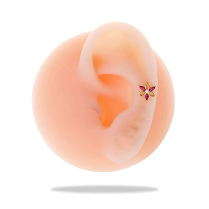 Piercing Brísin