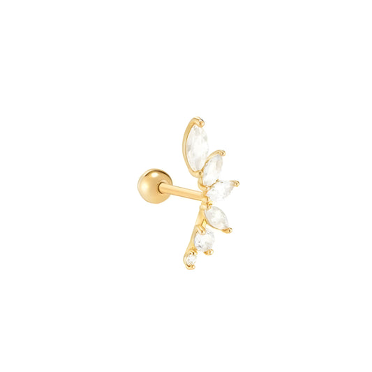 Piercing Blaar